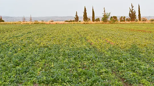DGCM-5S DOLAPLI GUBRELI CAPA MAK. (BICAKLI) - 13