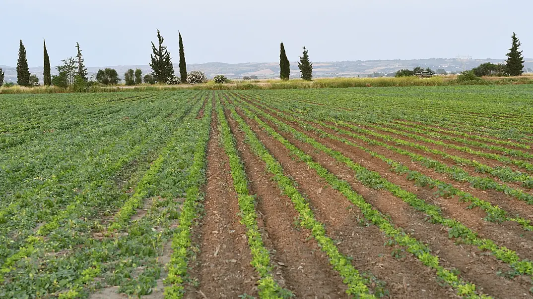 DGCM-5S DOLAPLI GUBRELI CAPA MAK. (DISKLI) - 10